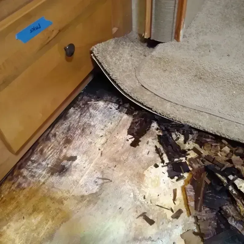 Wood Floor Water Damage in South Sioux City, NE